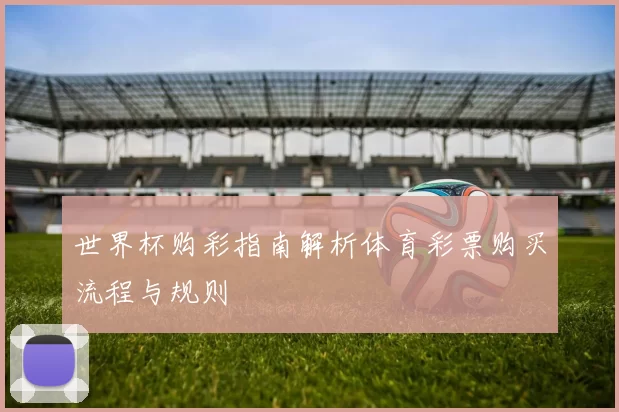 世界杯购彩指南解析体育彩票购买流程与规则