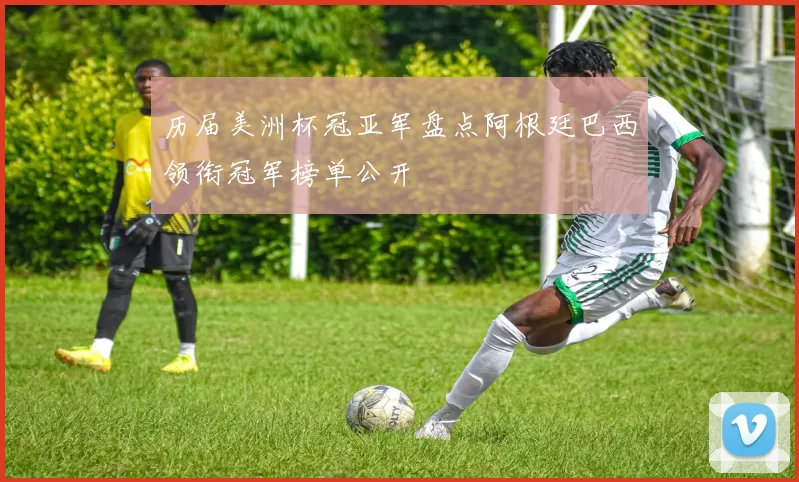 历届美洲杯冠亚军盘点阿根廷巴西领衔冠军榜单公开