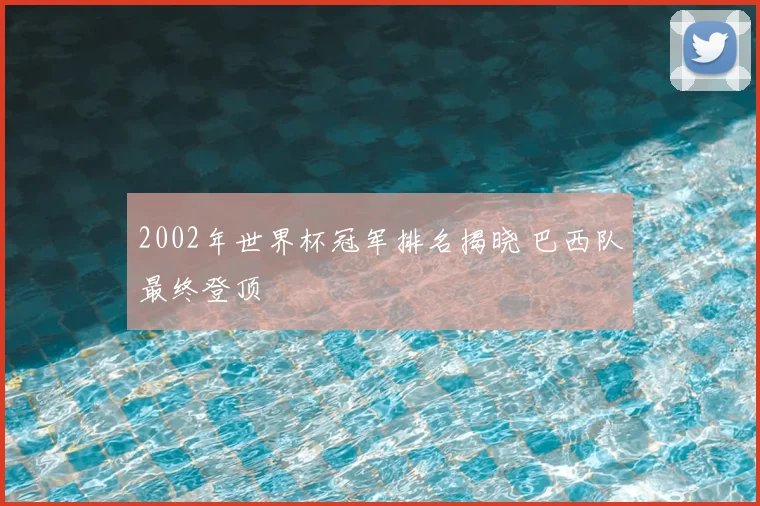 2002年世界杯冠军排名揭晓 巴西队最终登顶
