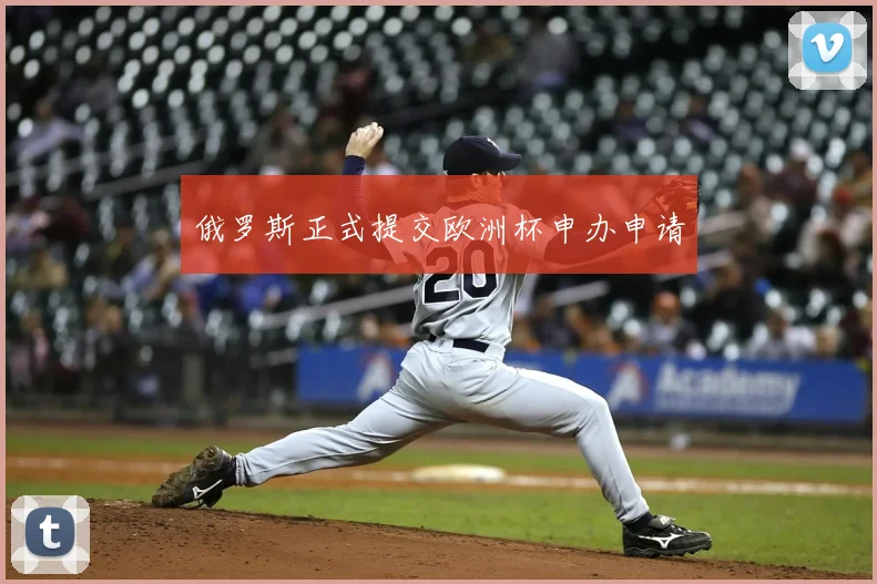 俄罗斯正式提交欧洲杯申办申请