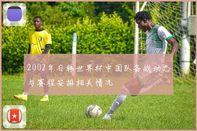 2002年日韩世界杯中国队备战动态与赛程安排相关情况