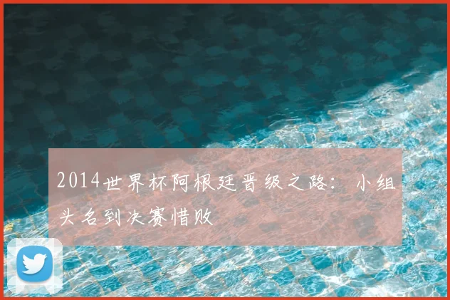 2014世界杯阿根廷晋级之路:小组头名到决赛惜败